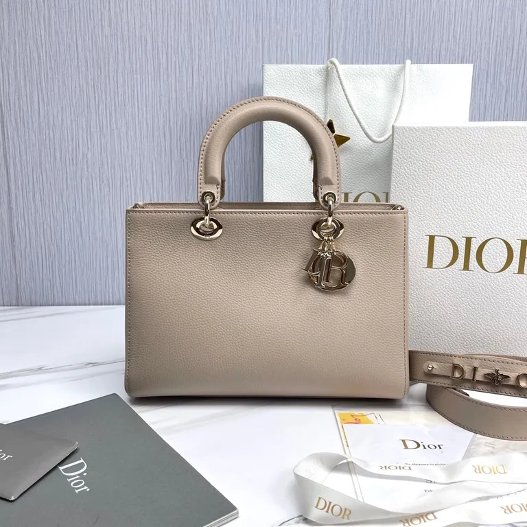 Dior Bag 